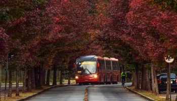 STJ-suspende-licitacao-transporte-Curitiba-Luiz-Costa-SMCS