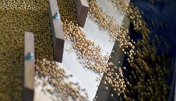 China Importa Volume Recorde de Soja em 2025