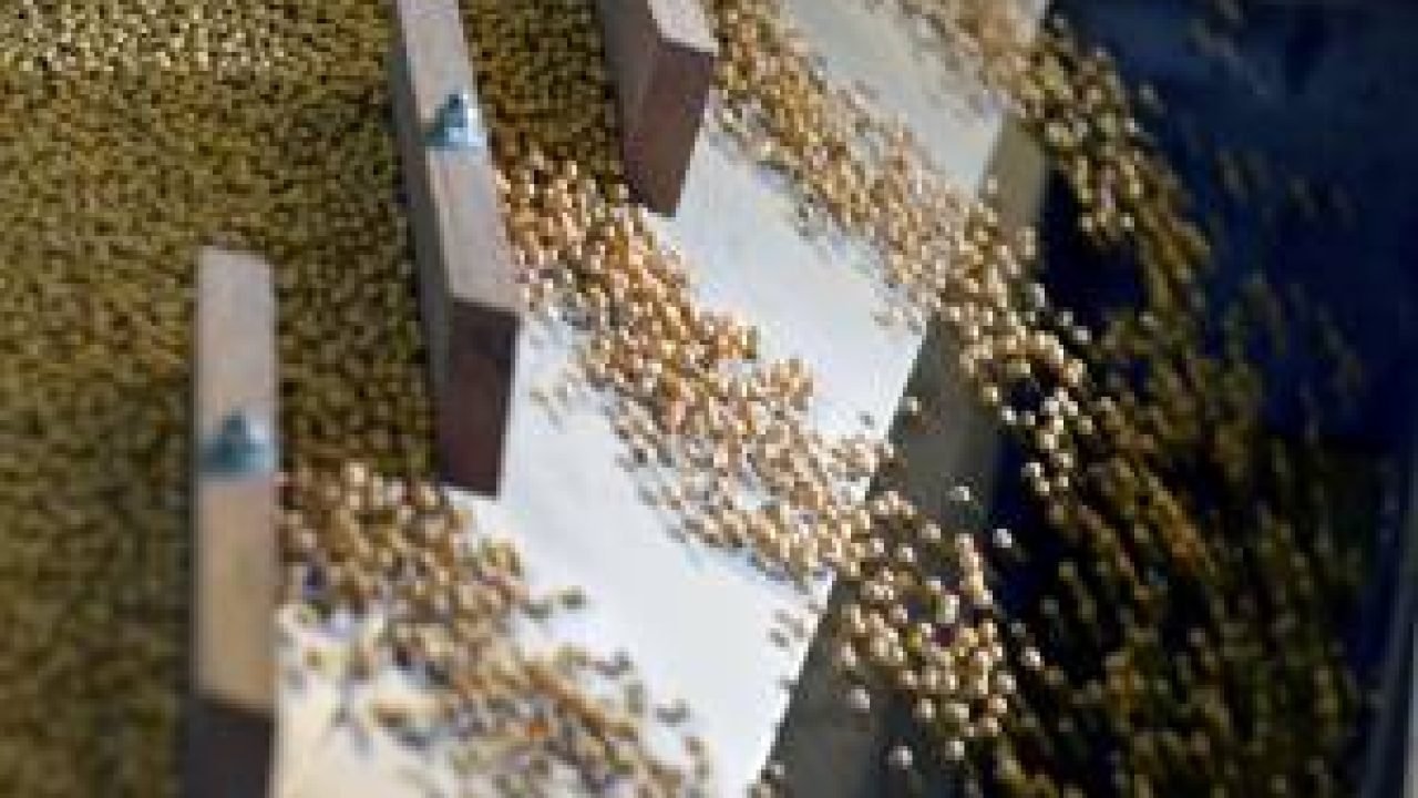 China Importa Volume Recorde de Soja em 2025