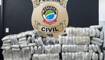 Droga apreendida — Foto: Droga apreendida - Foto: Polícia Civil