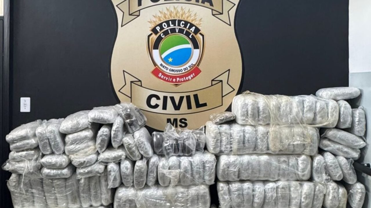 Droga apreendida — Foto: Droga apreendida - Foto: Polícia Civil