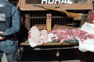 Carne ilegal apreendida. — Foto: Carne ilegal apreendida. (Foto: Polícia Militar