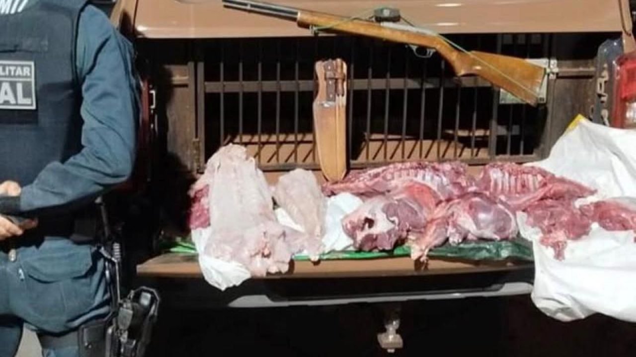 Carne ilegal apreendida. — Foto: Carne ilegal apreendida. (Foto: Polícia Militar