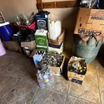 Garrafas de bebidas apreendias em condições irregulares — Foto: Garrafas de bebi