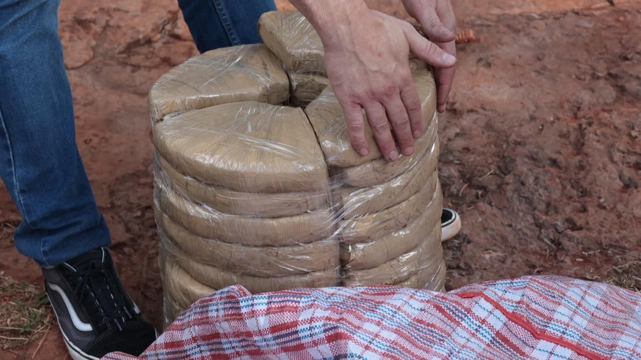 Drogas embaladas que seriam comercializadas. — Foto: Drogas embaladas que seriam