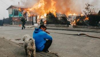 Incêndios florestais no Chile matam 16 pessoas