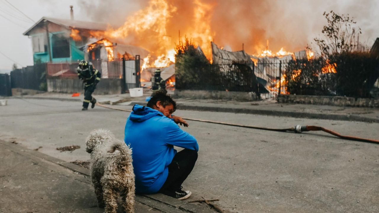 Incêndios florestais no Chile matam 16 pessoas