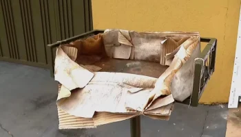 Foto: Caso registrado em Ponta Porã mobilizou polícia e perícia na manhã desta t