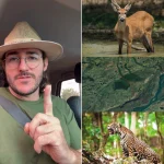 Foto: Em publicação nas redes sociais, o prefeito Germino Roz afirma que Bataypo