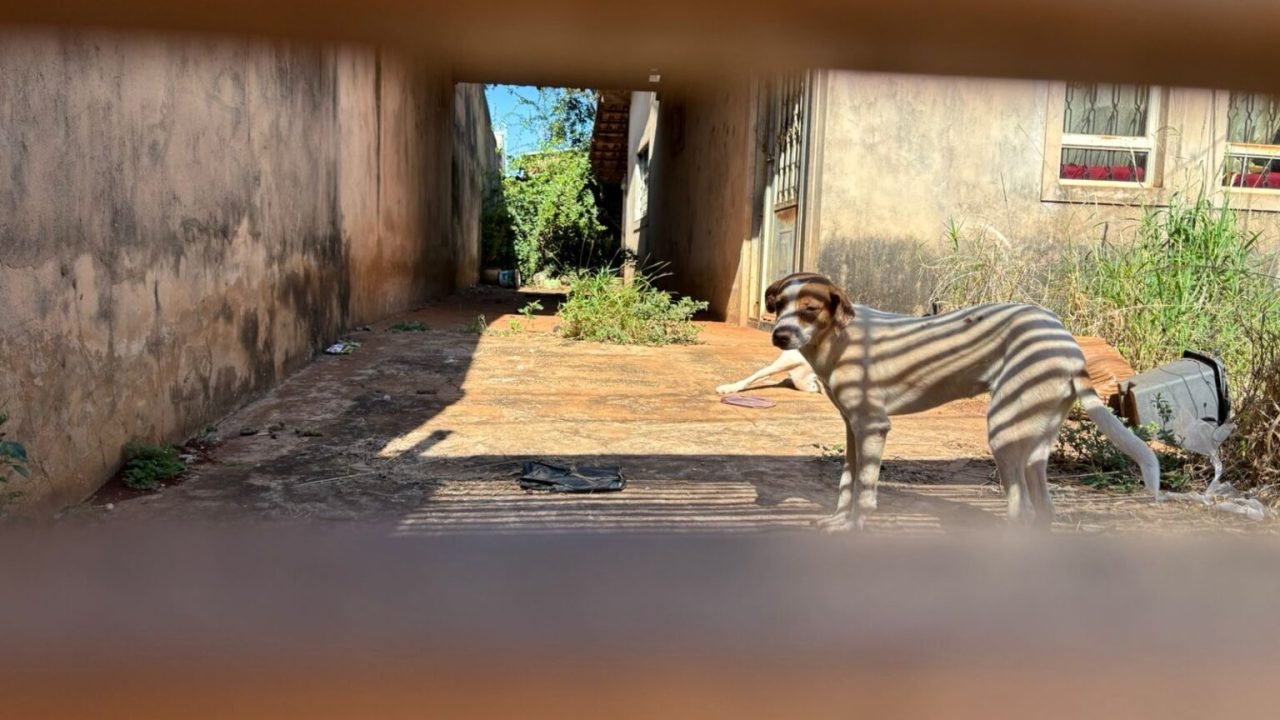 abril-laranja-mobiliza-campo-grande