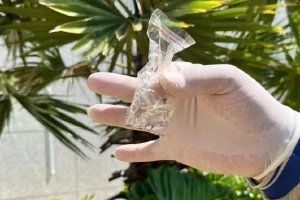 Foto: Mais de 223 mil doses da vacina contra a dengue já foram aplicadas no Esta