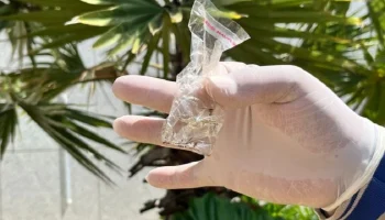 Foto: Mais de 223 mil doses da vacina contra a dengue já foram aplicadas no Esta