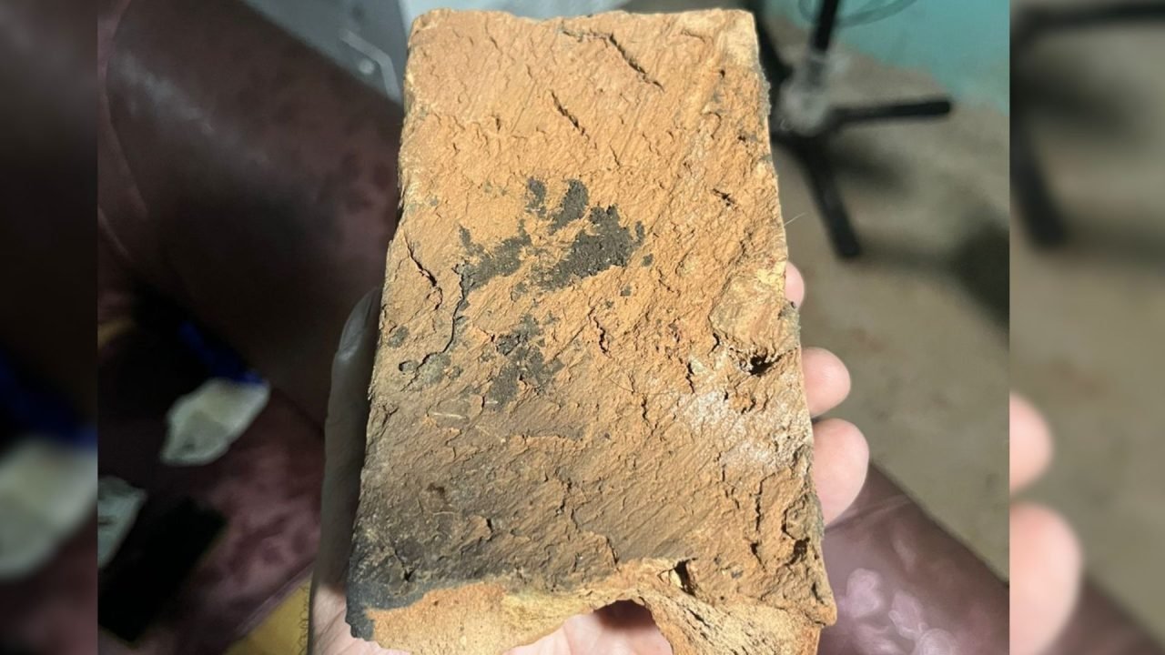 Tijolo utilizado no crime. — Foto: Tijolo utilizado no crime. (Foto: Fala Povo M