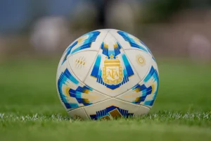 Confira os jogos da Copa do Mundo deste domingo - Foto: Franco Monsalvo/Pexels