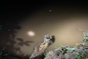 Foto: Buscas começaram no início da noite. (Foto: Fala Povo, Jornal Midiamax)