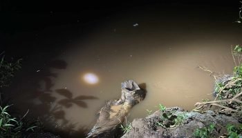 Foto: Buscas começaram no início da noite. (Foto: Fala Povo, Jornal Midiamax)