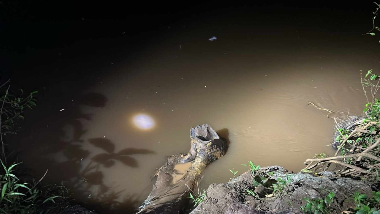 Foto: Buscas começaram no início da noite. (Foto: Fala Povo, Jornal Midiamax)