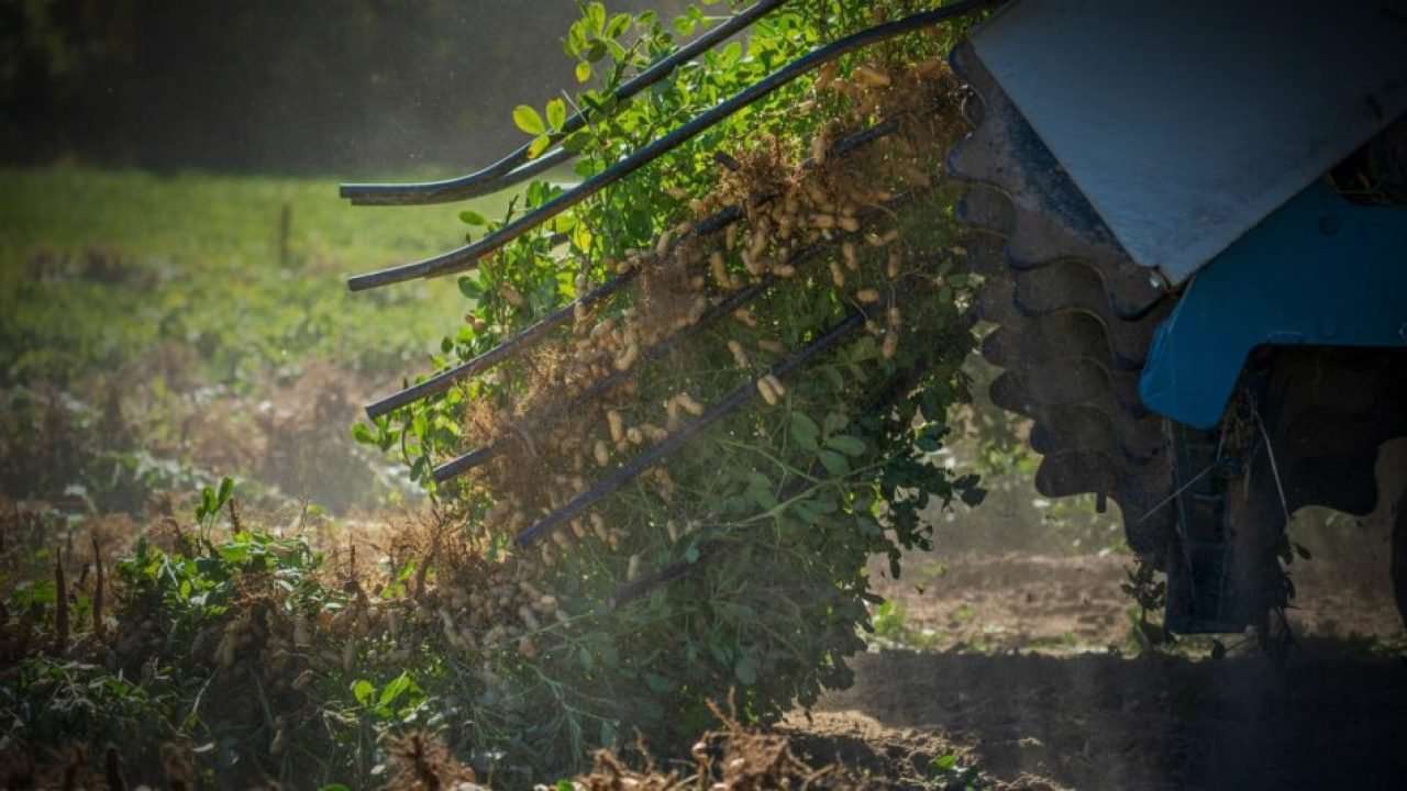 Agronegócio promove discurso verde na COP30