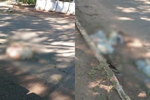 Local está com sangue e mau cheiro. (Foto: Fala Povo)