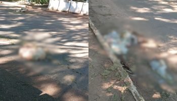 Local está com sangue e mau cheiro. (Foto: Fala Povo)