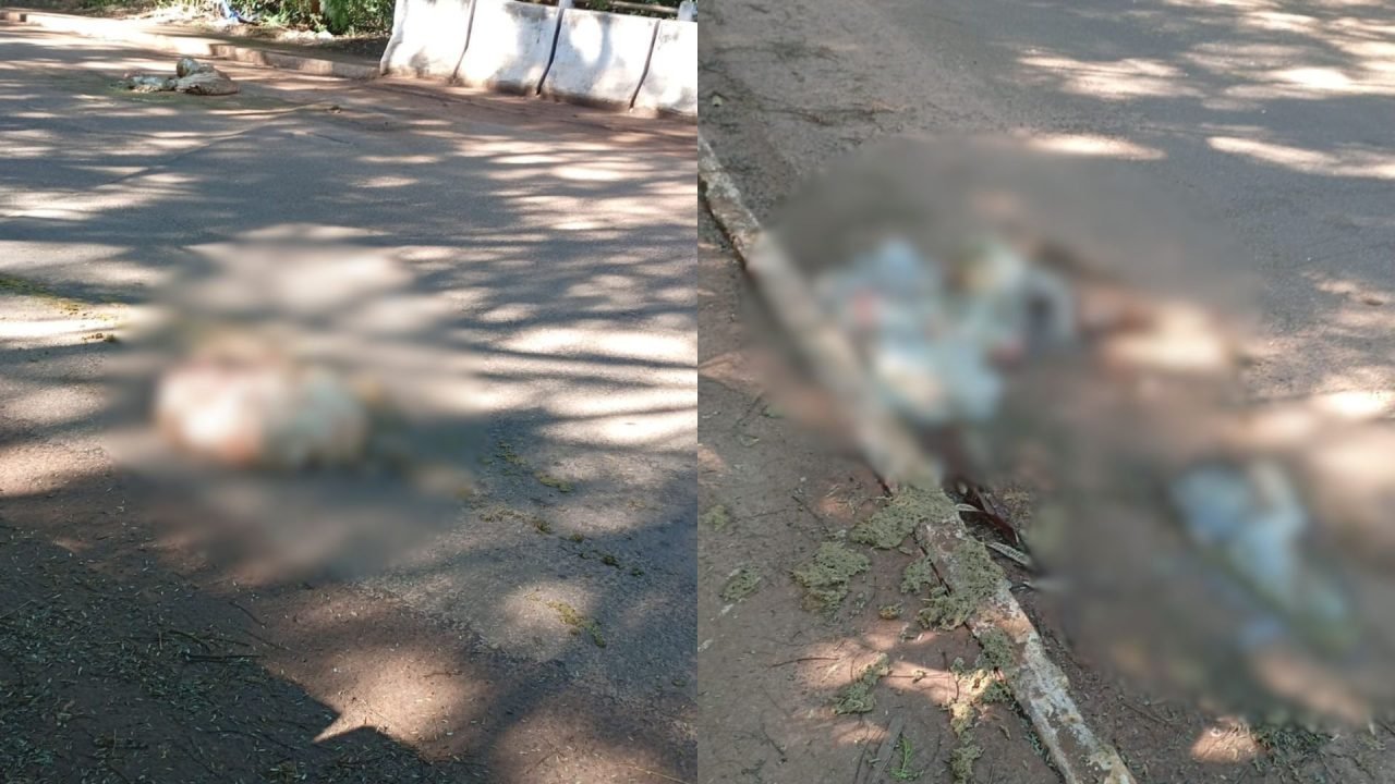 Local está com sangue e mau cheiro. (Foto: Fala Povo)