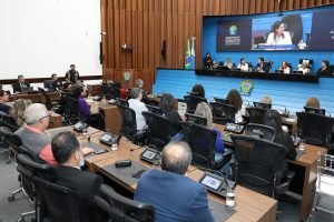 alems-sedia-seminario-defesa-direitos-pessoa-idosa