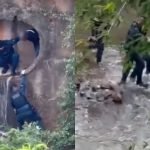 Foto: O homem foi capturado dentro da tubulação de esgoto. (Reprodução, Campo Gr