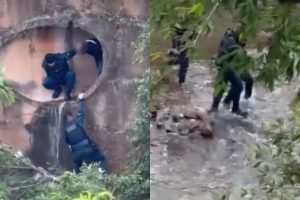 Foto: O homem foi capturado dentro da tubulação de esgoto. (Reprodução, Campo Gr