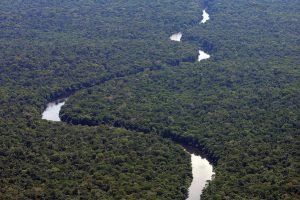 Amazônia