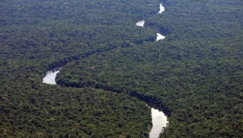 Amazônia
