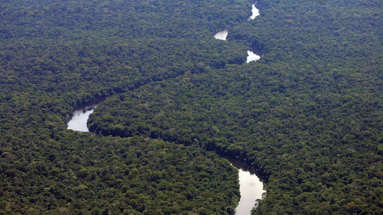 Amazônia