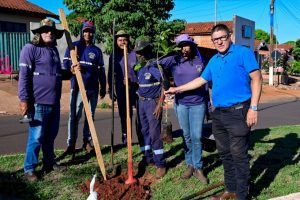 b475733cca52c9739a253d53beaeaef3_1-1