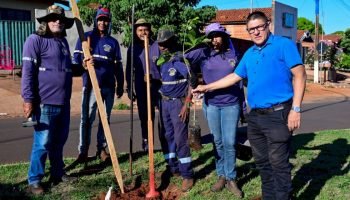 b475733cca52c9739a253d53beaeaef3_1