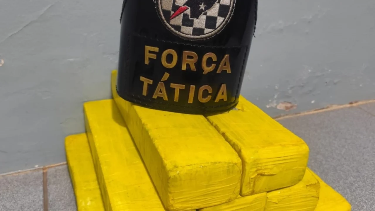 Foto: Droga apreendida - Foto: PM/Divulgação
