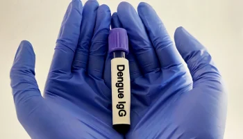 Dengue - Foto: Shutterstock
