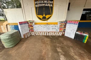 Produtos apreendidos — Foto: Produtos apreendidos - Foto: PMR/Divulgação