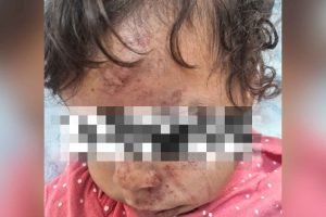 Foto: (Reprodução)