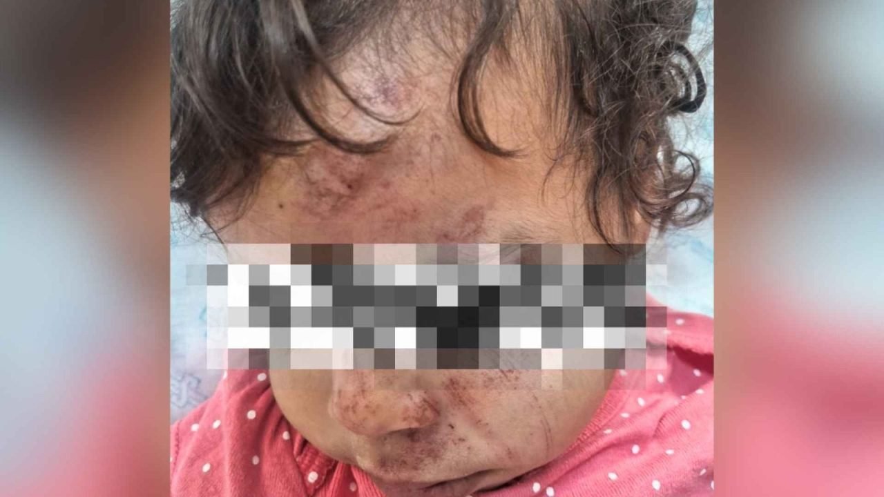 Foto: (Reprodução)