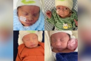 bebes-humap