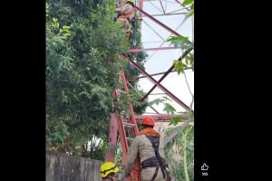 Bombeiros sobem na torre para resgatar corpo. (Reprodução, Ivi Notícias) — Foto: