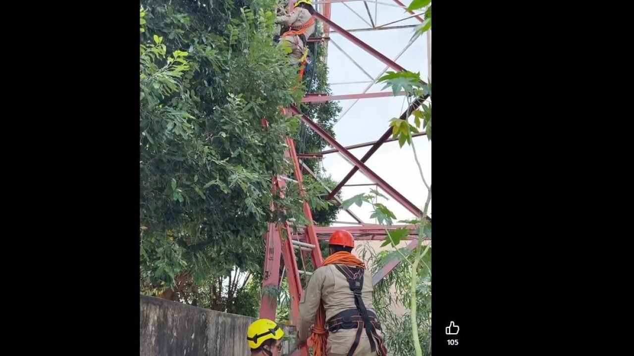 Bombeiros sobem na torre para resgatar corpo. (Reprodução, Ivi Notícias) — Foto: