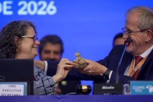 brasil-encerra-cop15-em-campo-grande-e-prioriza-o-pantanal