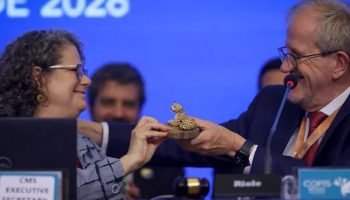 brasil-encerra-cop15-em-campo-grande-e-prioriza-o-pantanal