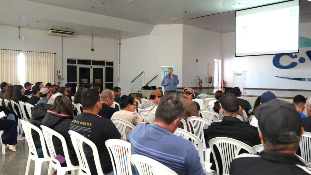 c.vale-3
