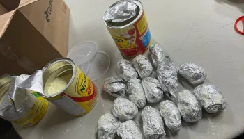 Foto: Denar apreende 11 kg de drogas que seriam enviados pelos Correios
