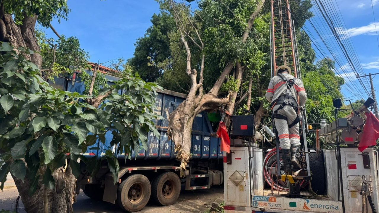 Foto: Caminhão ficou enroscado em galho no bairro Pioneiros. (Henrique Arakaki,