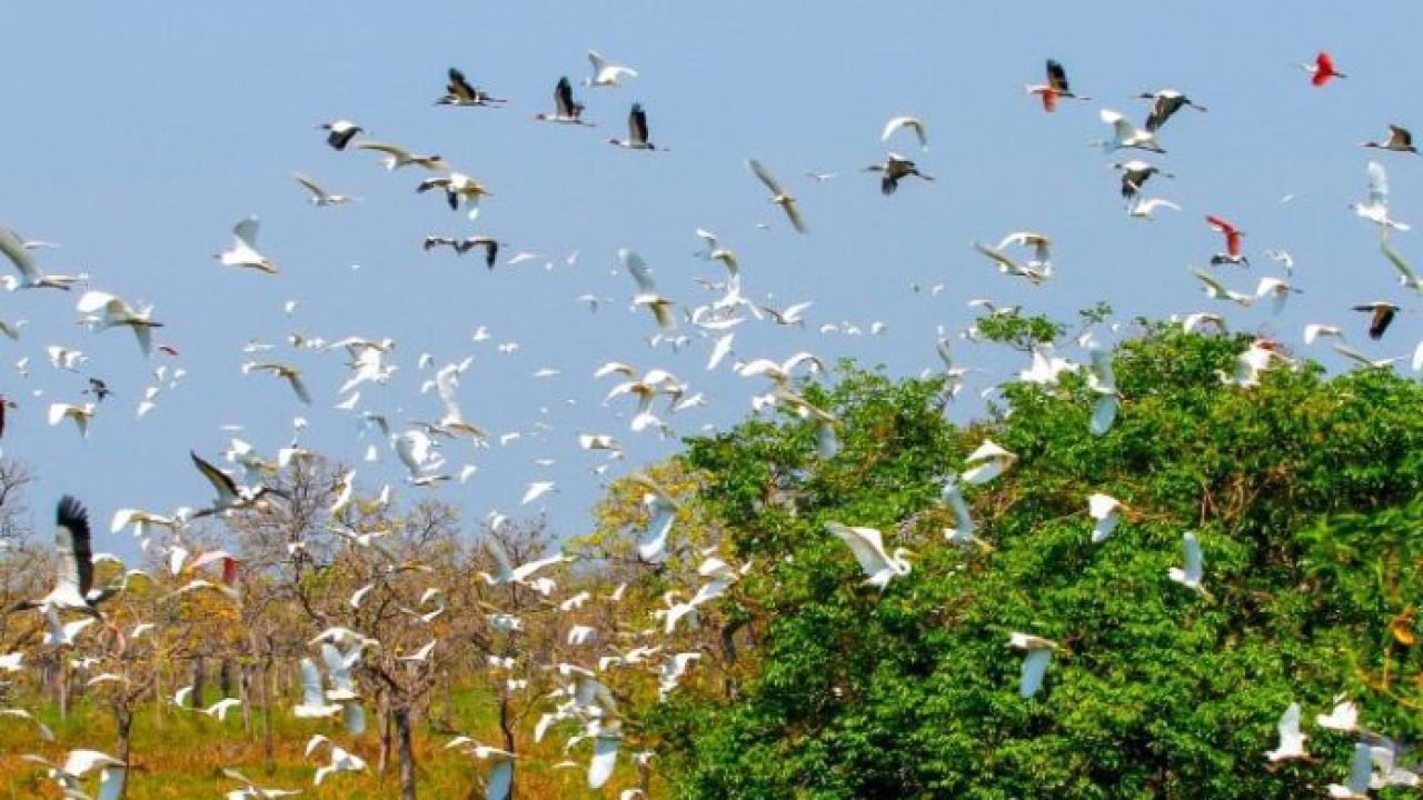 campo-grande-sedia-cop15