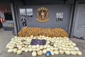 Mais de meia tonelada foi apreendida (Foto: Divulgação)