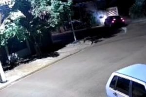 Foto: Homem morreu com uma perfuração no tórax - Foto: Reprodução