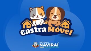 Naviraí Chega com Castração de Cães e Gatos em Mais uma Região da Cidade — Foto: